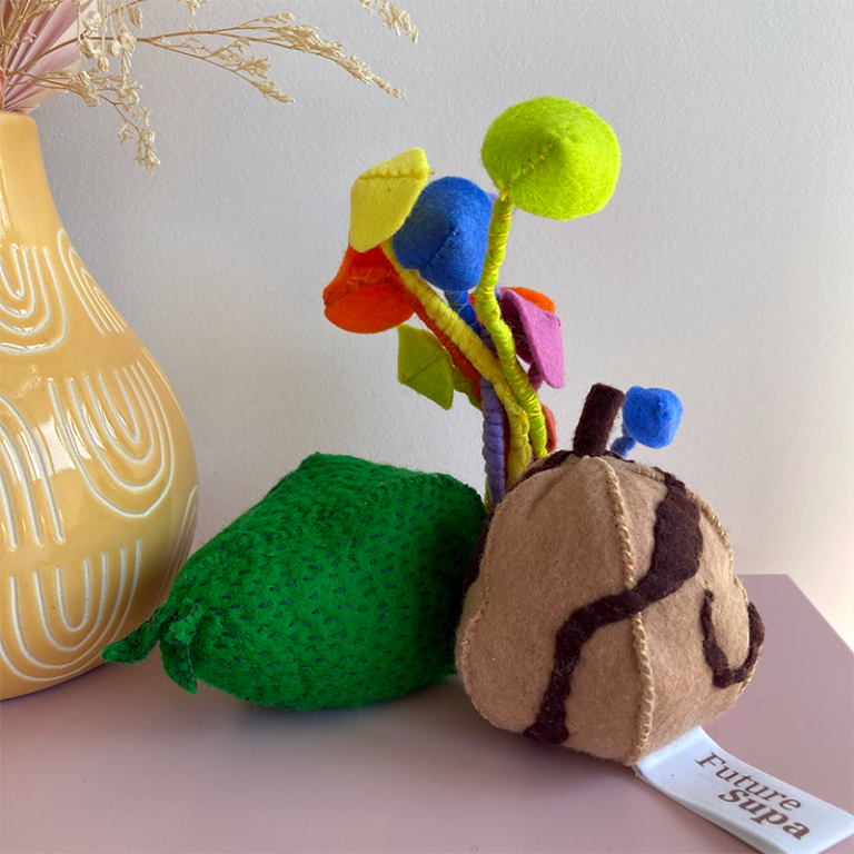 Three pieces of fictitious felt fruits and mushrooms sit on a pink table. They have scannable QR codes.